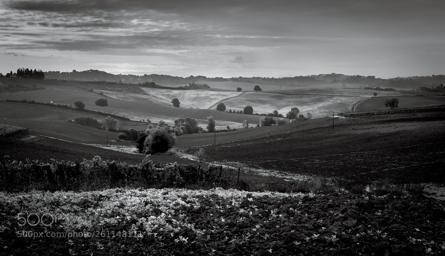 Canon EOS 5D sample photo. B&w photography