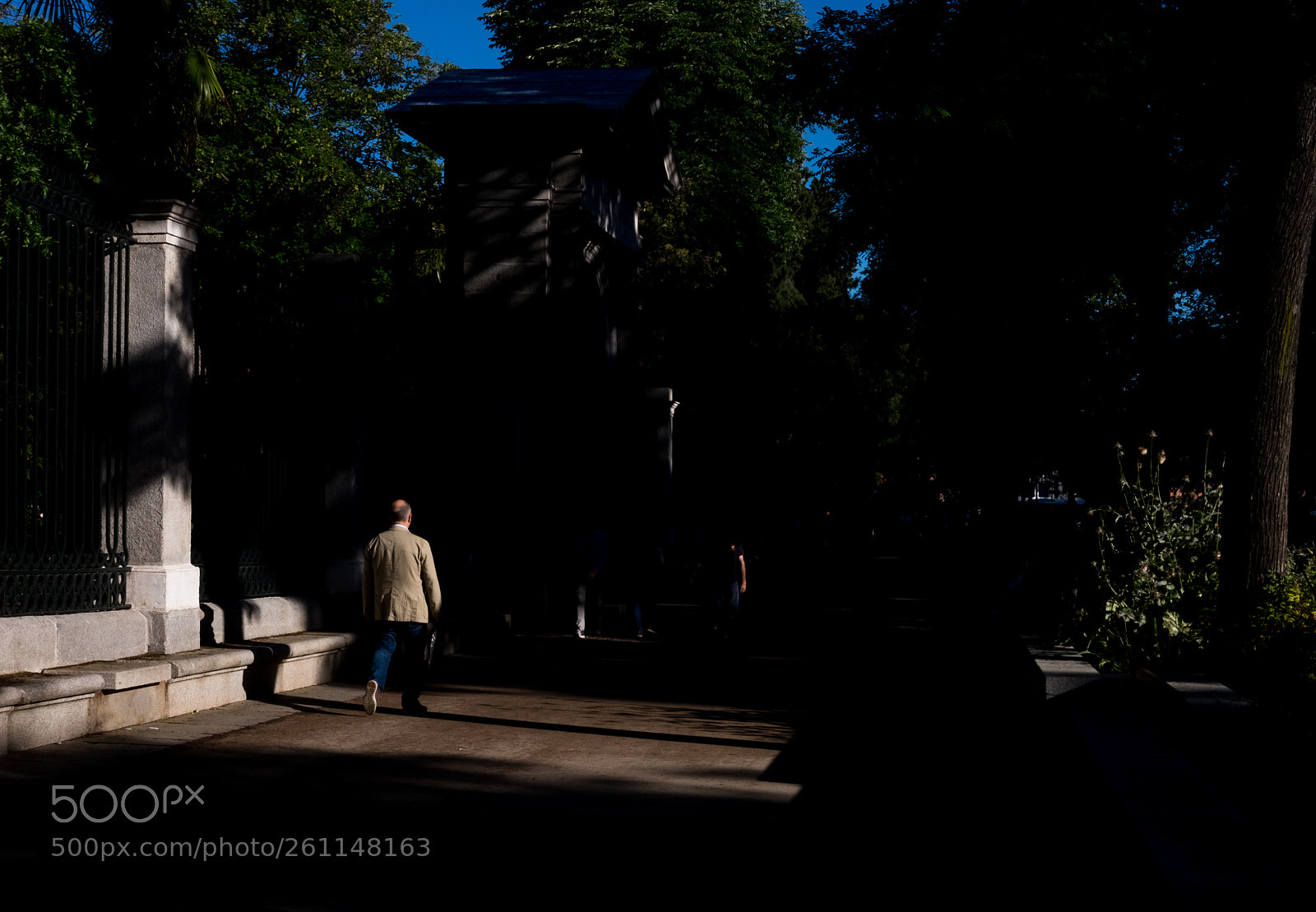 Fujifilm X-T10 sample photo. A ray of sun photography