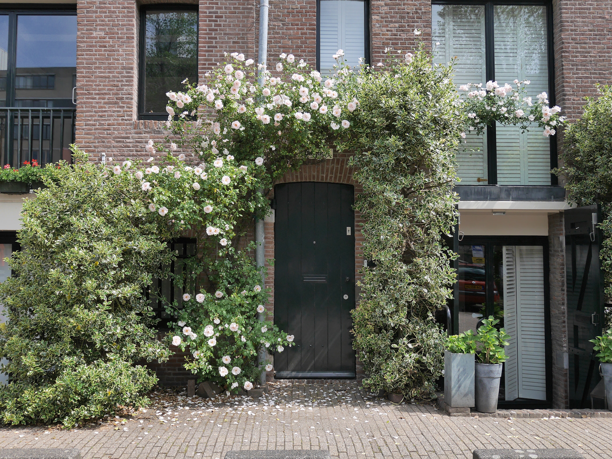 Panasonic Lumix DMC-GM1 sample photo. Yet another osm door photography