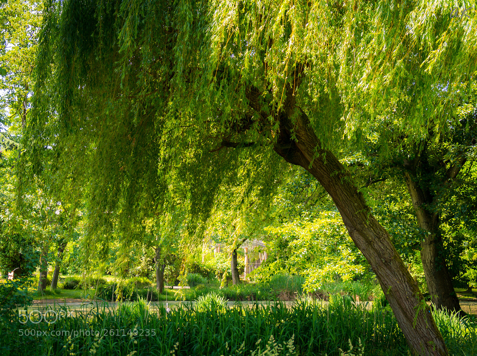 Sony SLT-A58 sample photo. A quite place photography