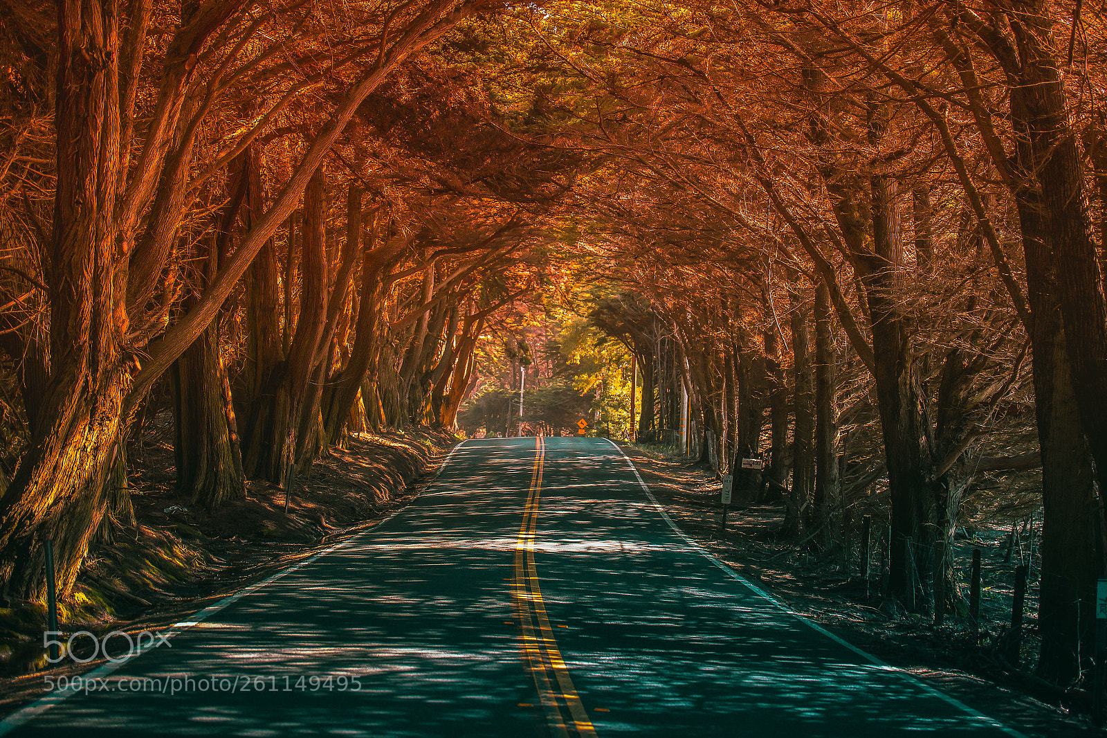 Canon EOS 6D sample photo. Mystical tunnel photography
