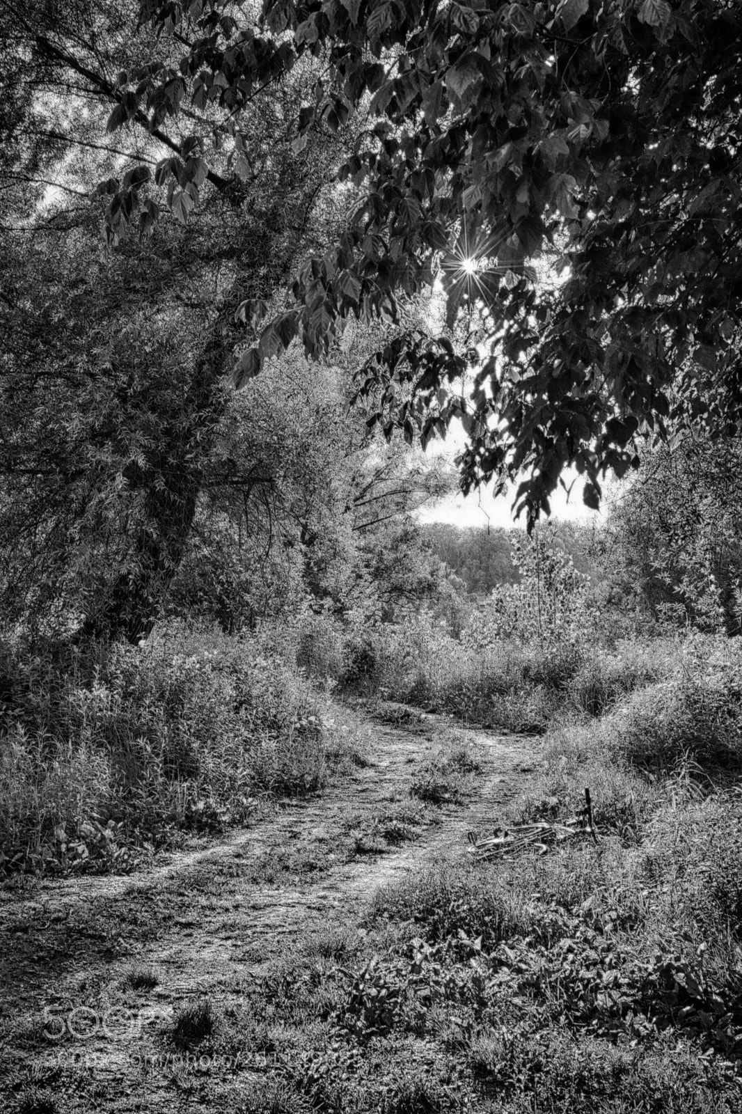 Nikon D5300 sample photo. Untitled photography