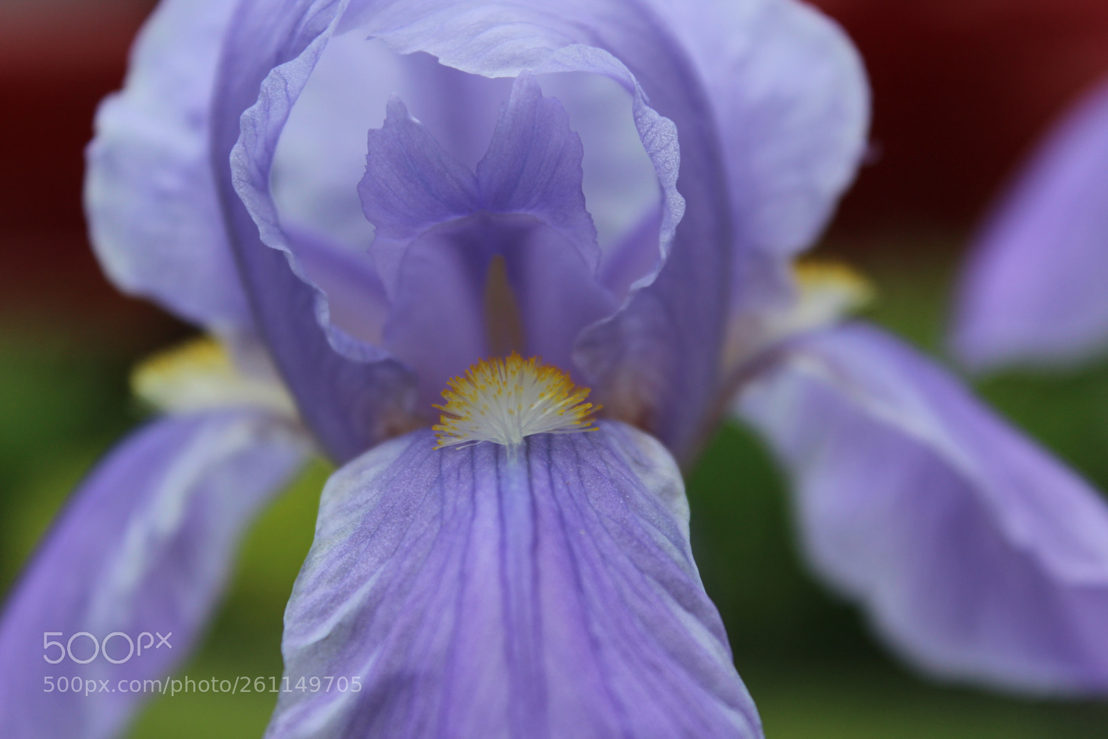 Canon EOS 1200D (EOS Rebel T5 / EOS Kiss X70 / EOS Hi) sample photo. Purple palace photography