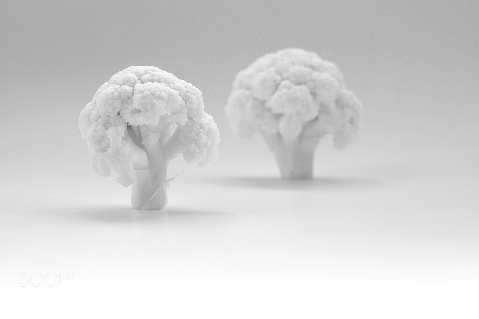 Olympus OM-D E-M10 sample photo. Cauliflower photography