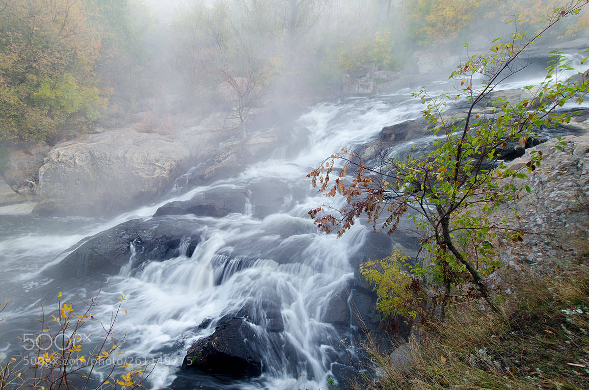 Nikon D7000 sample photo. *** photography