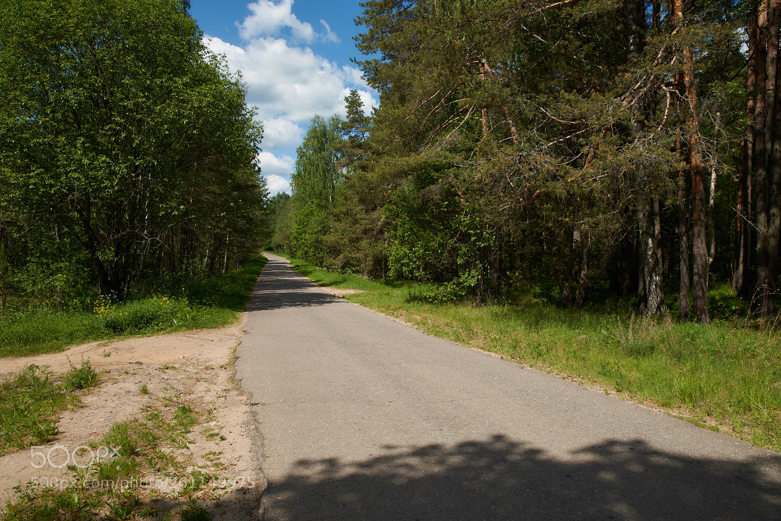 Nikon D750 sample photo. Wap photography