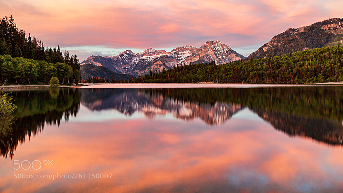 Canon EOS 5DS R sample photo. Serene morning photography