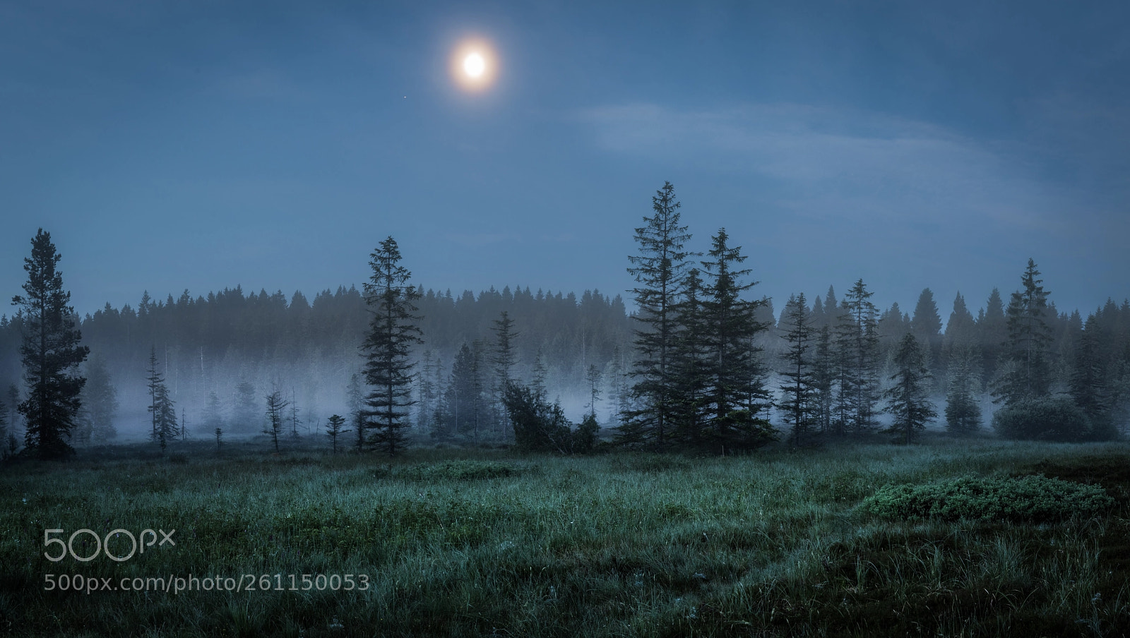 Nikon D810 sample photo. Twilight. photography