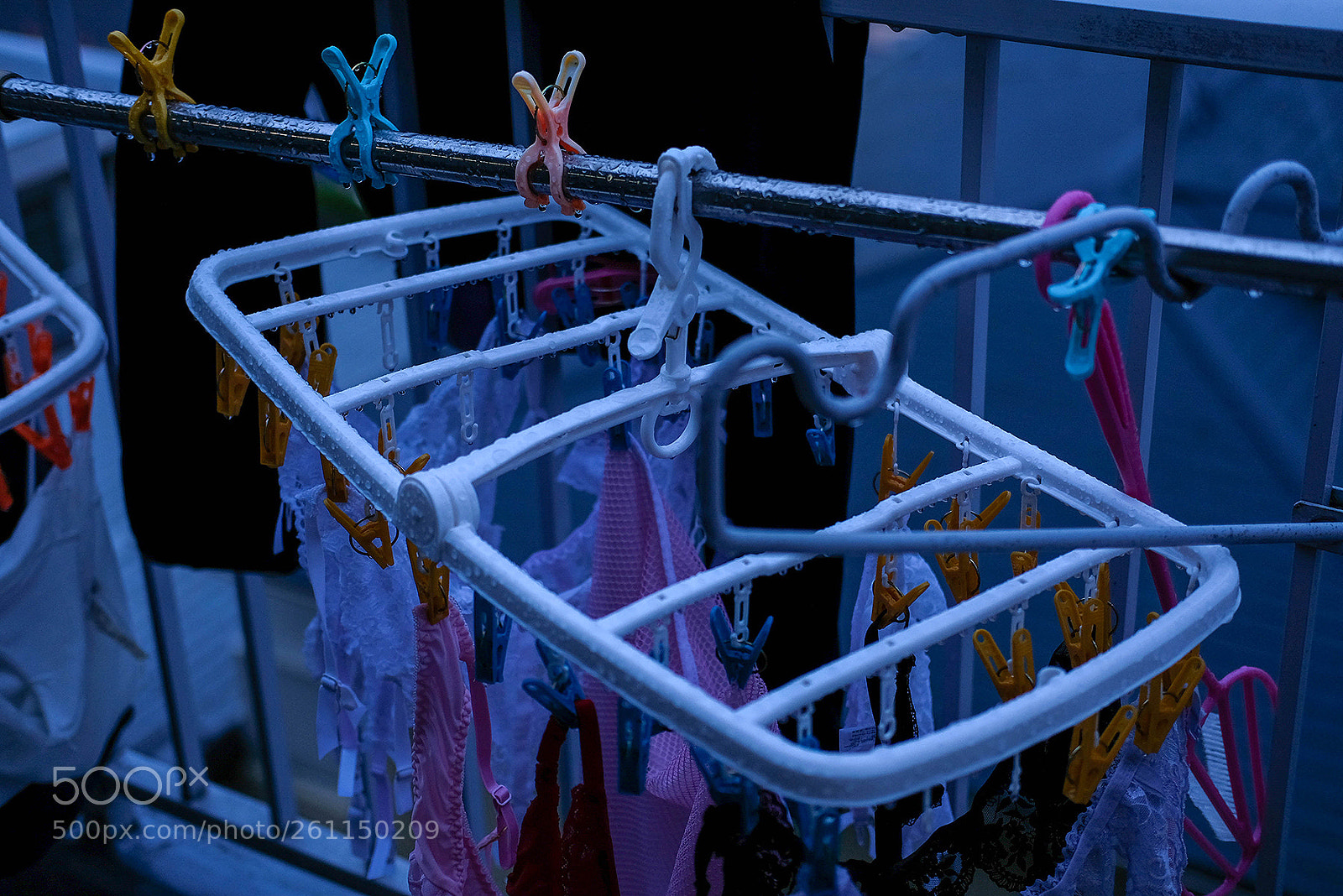 Fujifilm X-T2 sample photo. My morning today photography