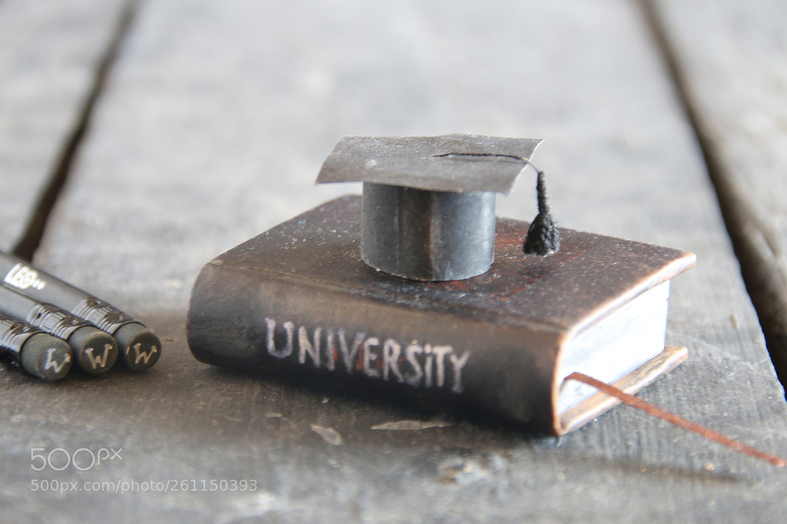 Canon EOS 70D sample photo. Online universities or distance photography