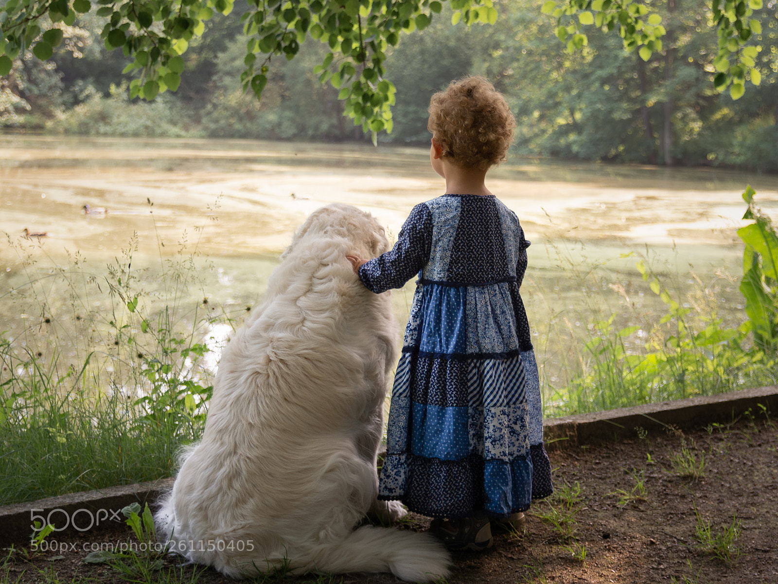Nikon D7100 sample photo. Ruhe photography