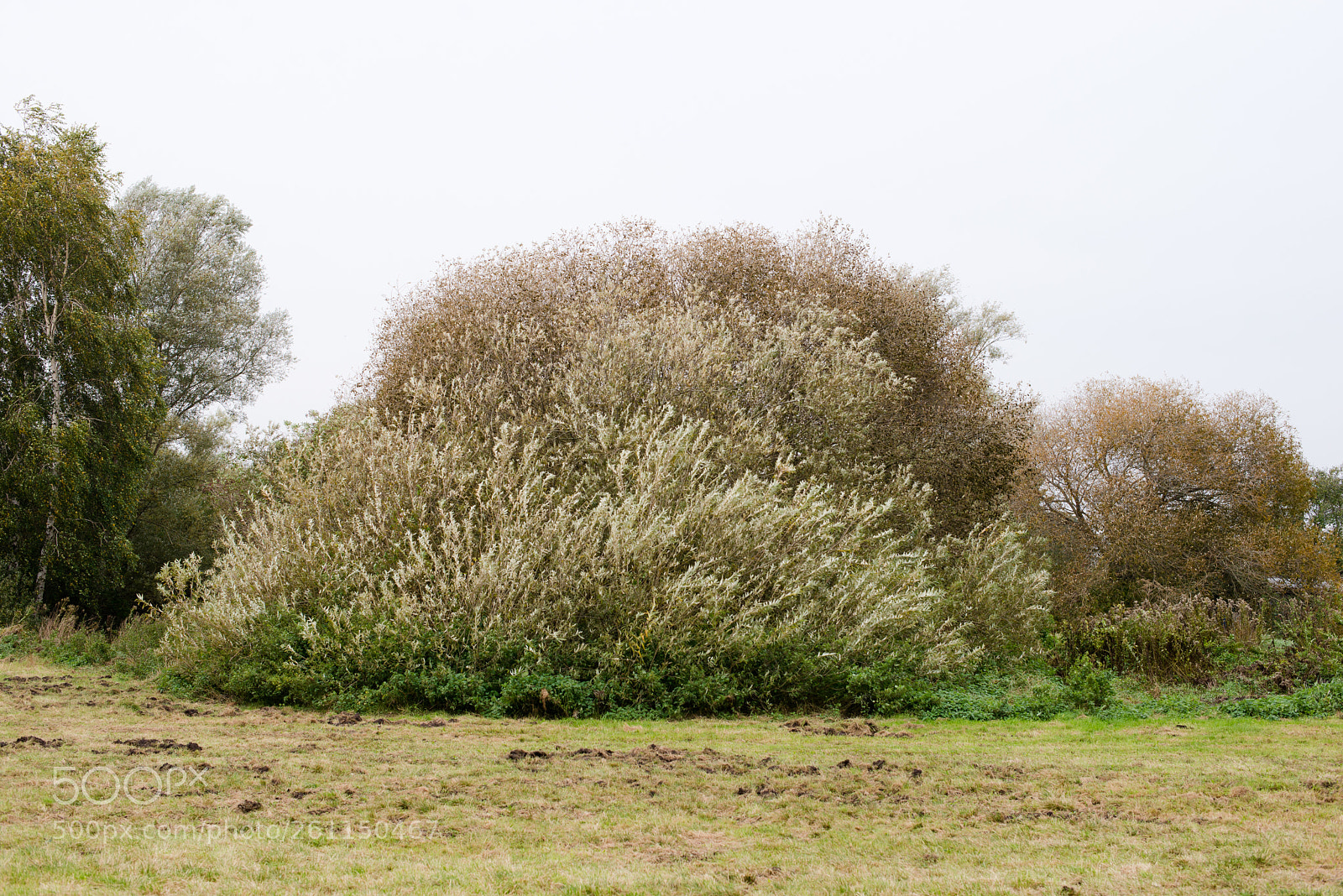 Nikon D600 sample photo. Untitled het cc project photography