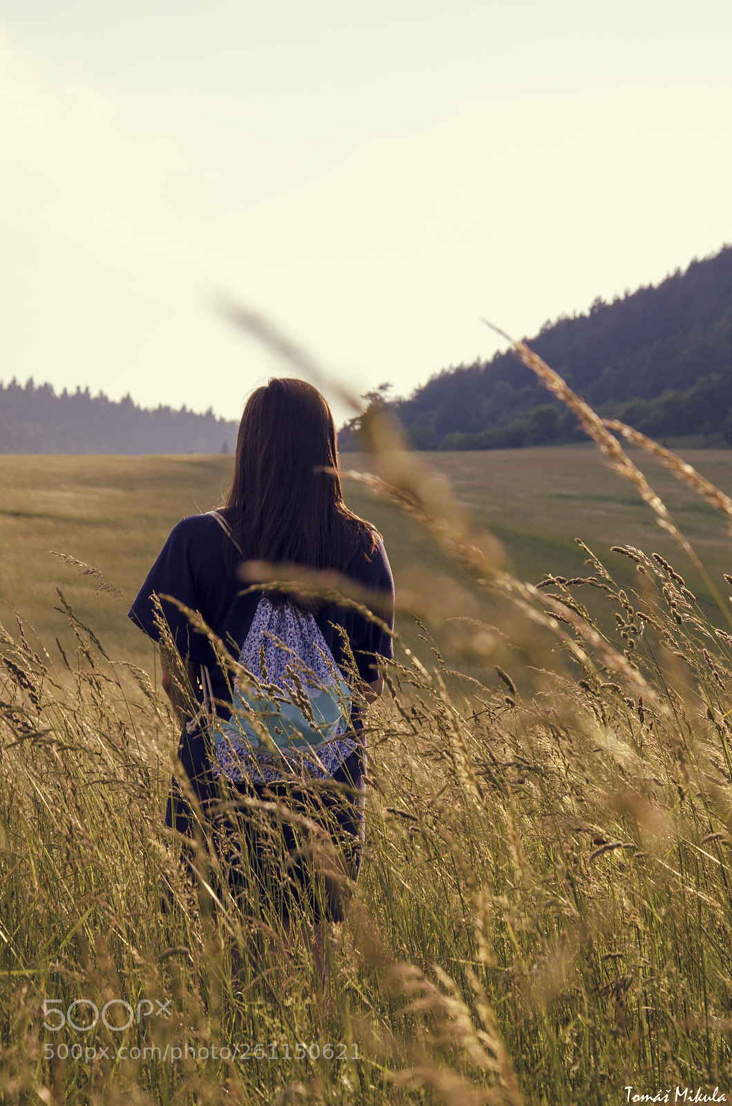 Nikon D5100 sample photo. Somwhere on the meadow photography