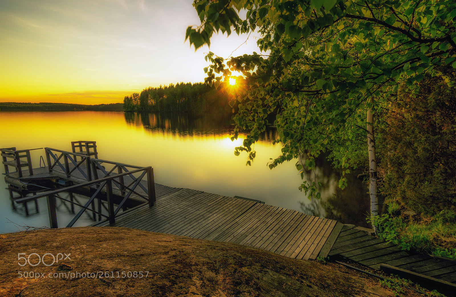 Nikon D600 sample photo. Summer sun photography