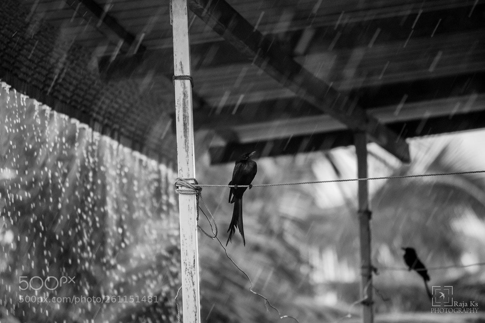 Canon EOS 70D sample photo. A rainy day photography