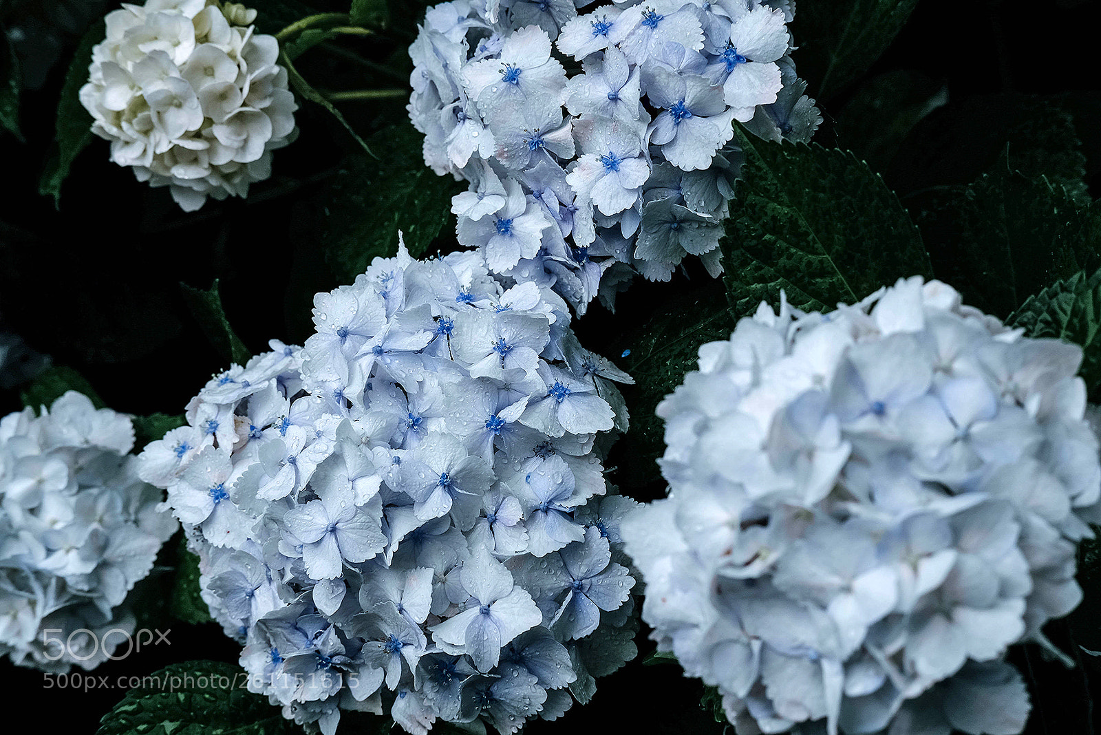 Fujifilm X-T2 sample photo. My life today photography