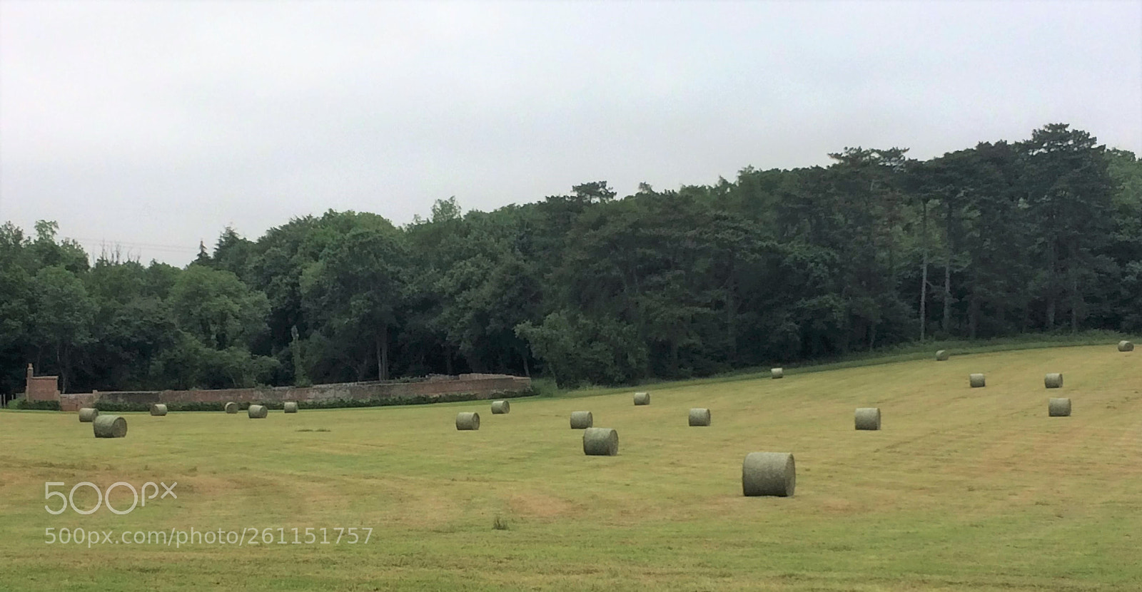 Apple iPhone 5s sample photo. Hay bales at holywell photography