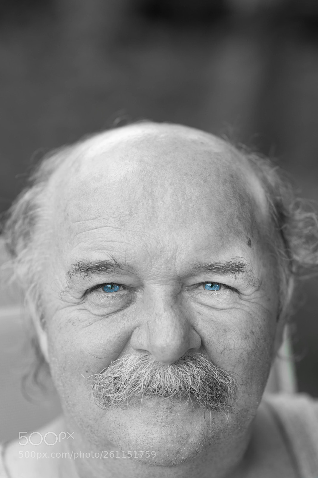 Nikon D5300 sample photo. Blue eyes photography