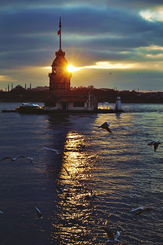 Nikon D5000 sample photo. İstanbul. in the capital of the world photography
