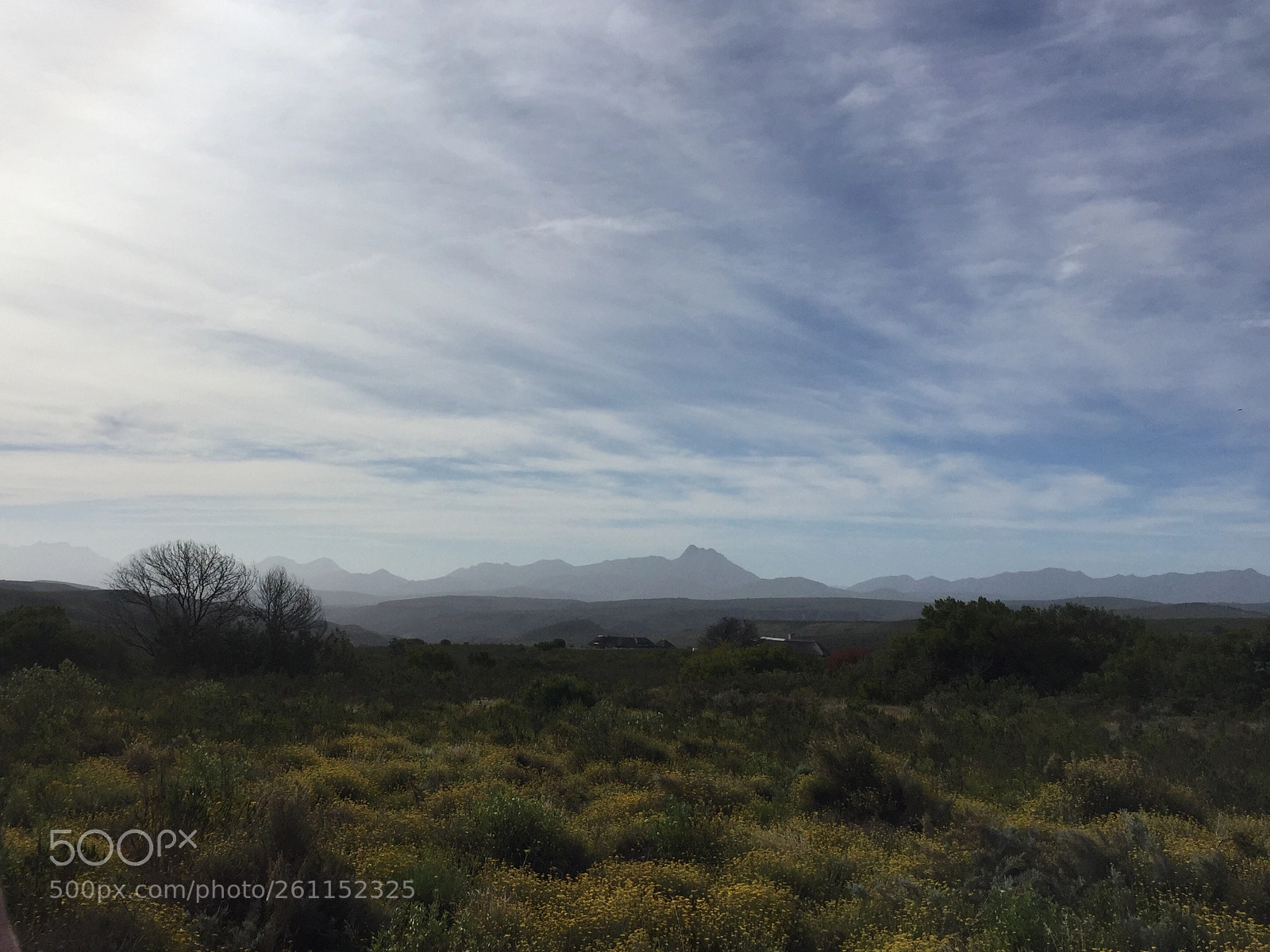 Apple iPhone 6 sample photo. Gondwana land photography
