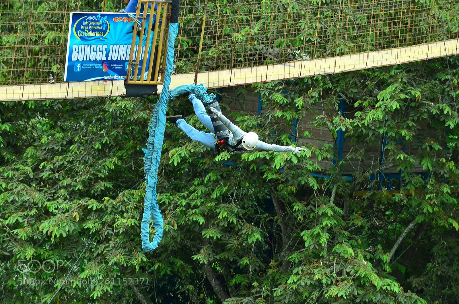 Nikon D7000 sample photo. Bungee  photography