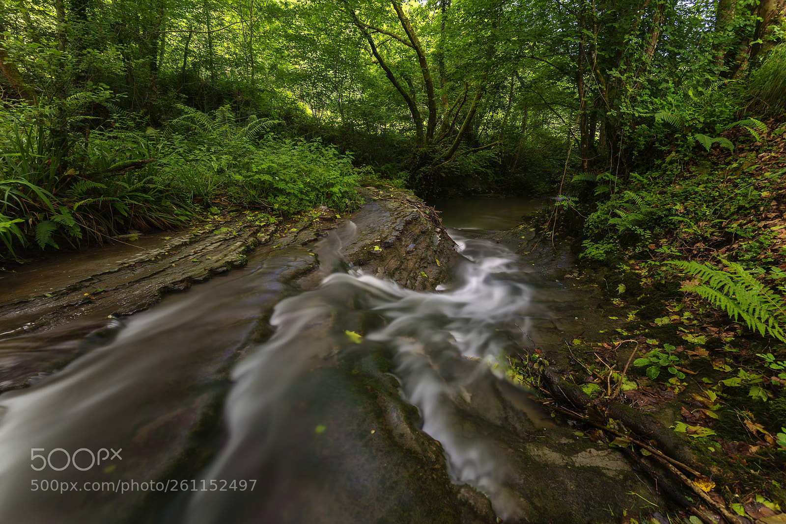 Nikon D610 sample photo. Agorregui photography