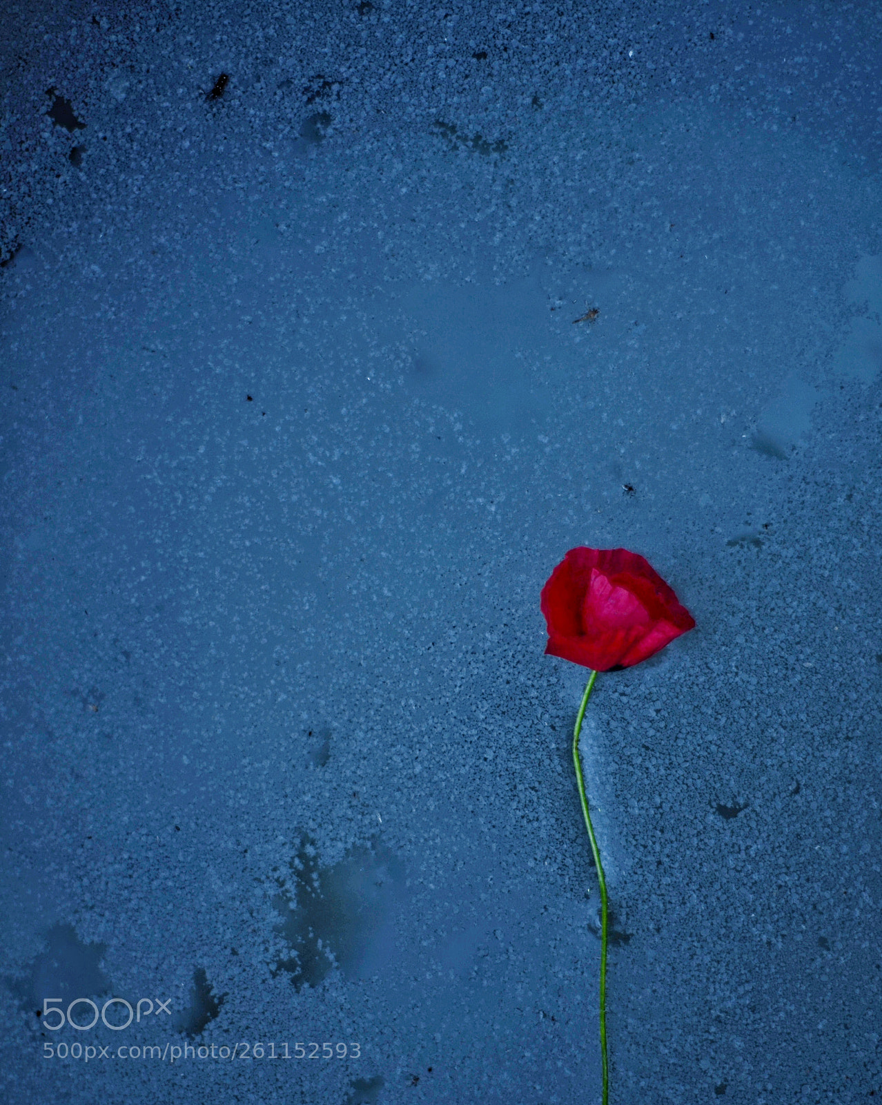 Nikon D7000 sample photo. Infinity photography