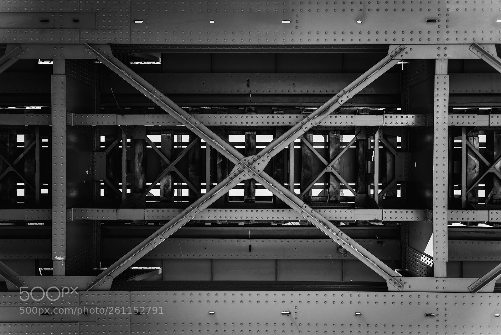 Nikon D750 sample photo. From below photography