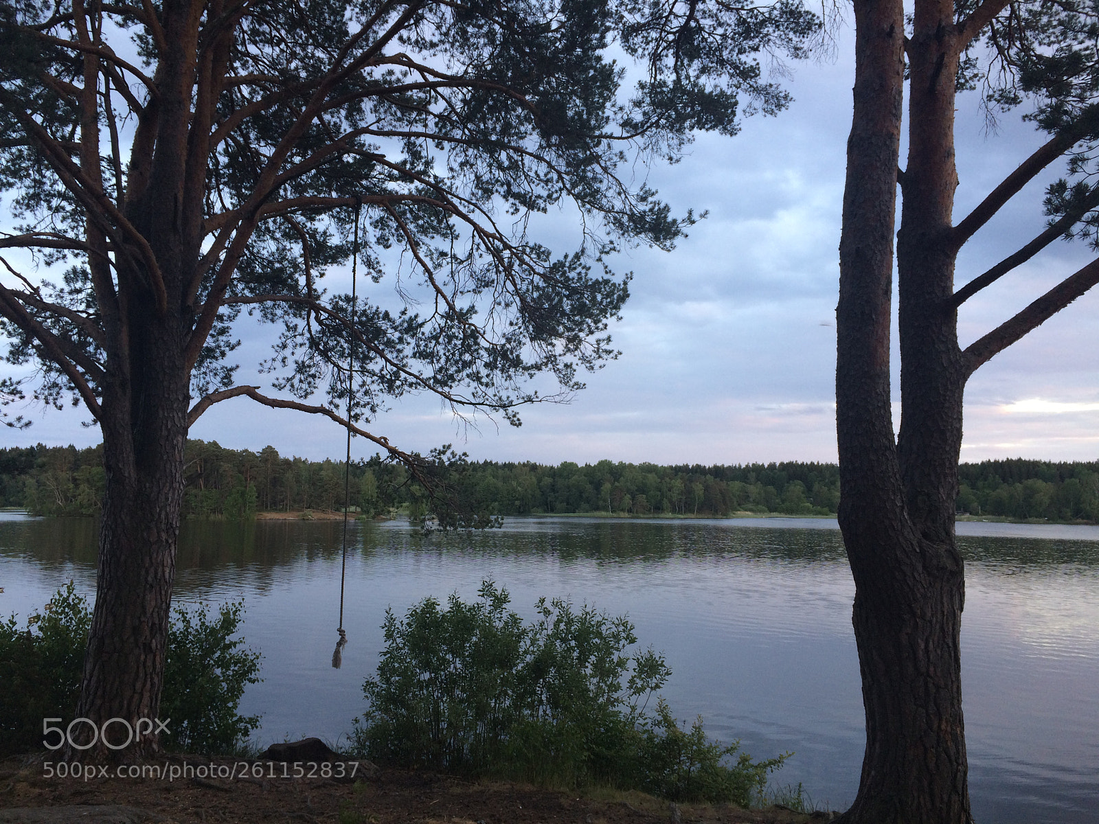 Apple iPhone 5s sample photo. Lake with swinging rope photography