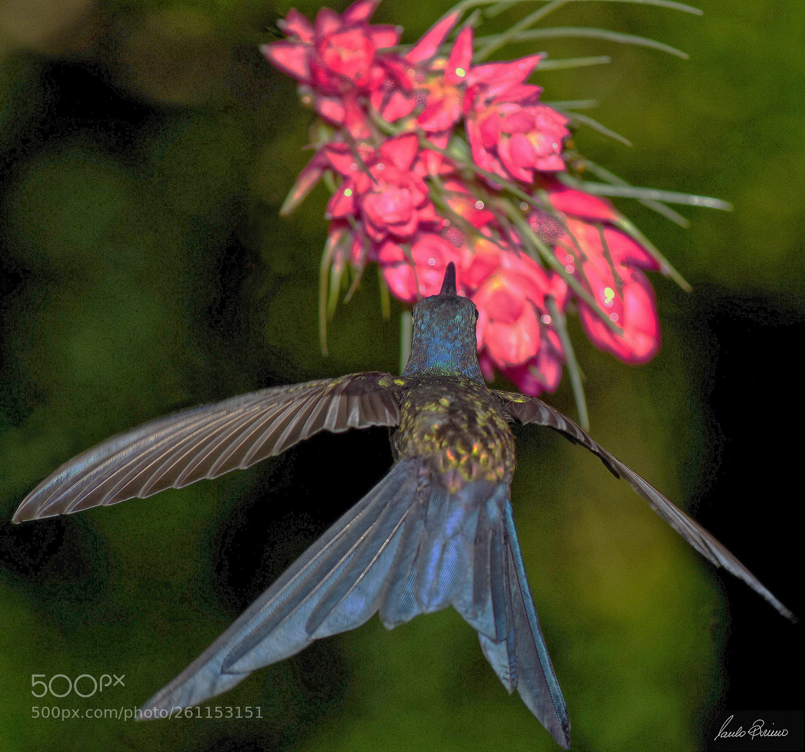 Nikon D810 sample photo. Untitle photography