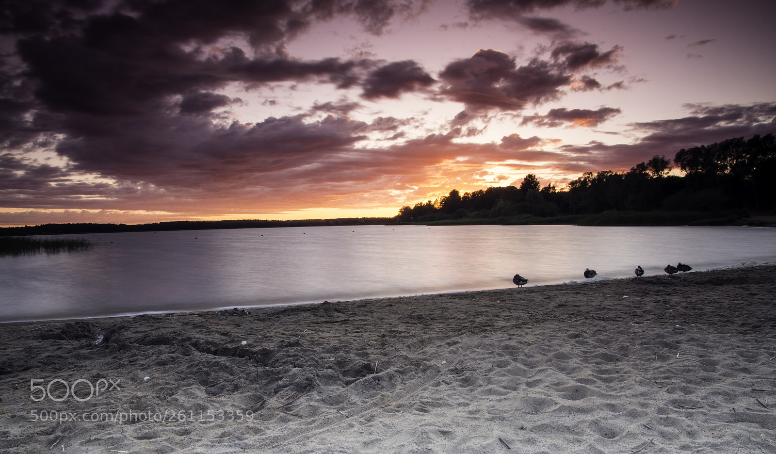 Nikon D7200 sample photo. Sunset. photography