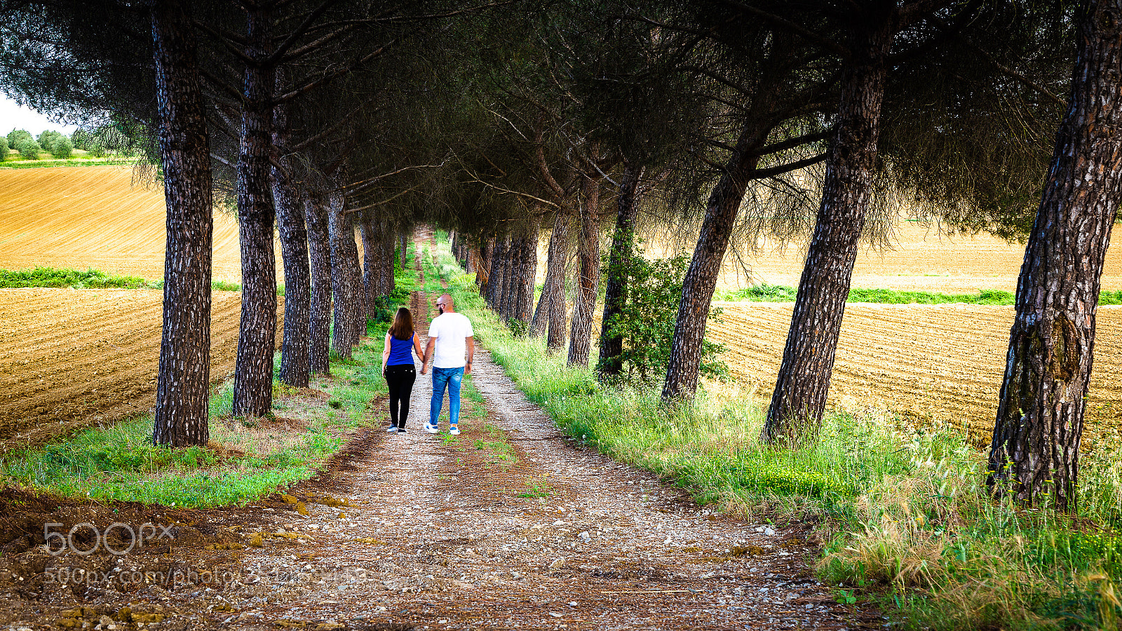 Canon EOS 6D sample photo. Walk under tree photography