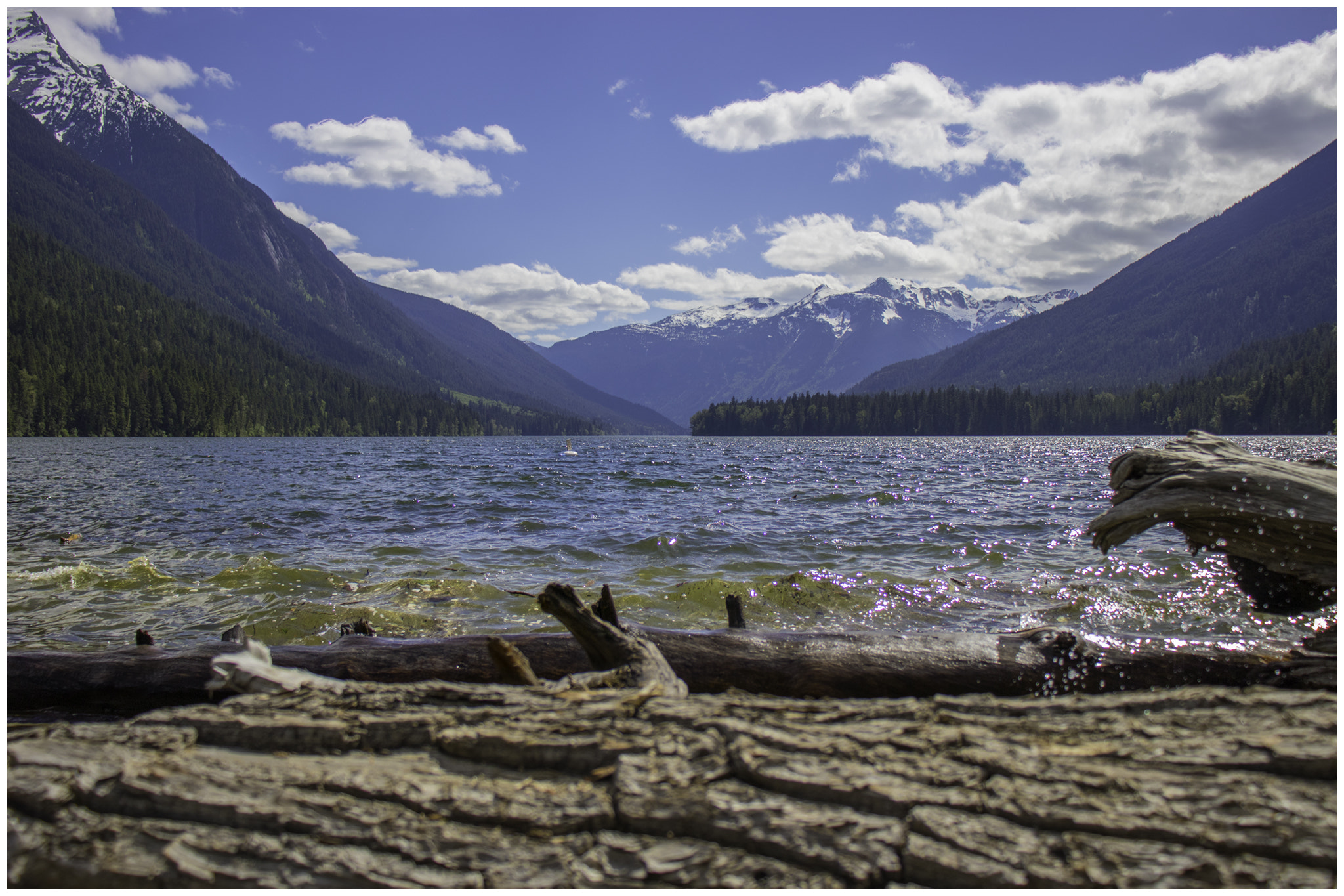 Canon EOS 200D (EOS Rebel SL2 / EOS Kiss X9) sample photo. Beautiful british columbia photography