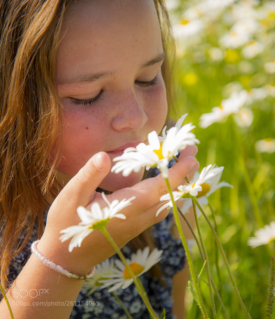 Nikon D610 sample photo. Smelling daisies photography