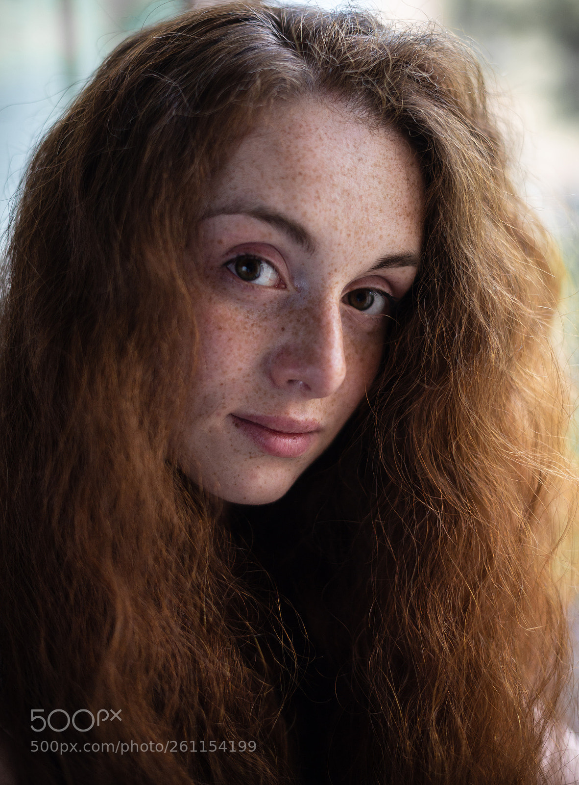 Nikon D600 sample photo. Some sun in cold photography