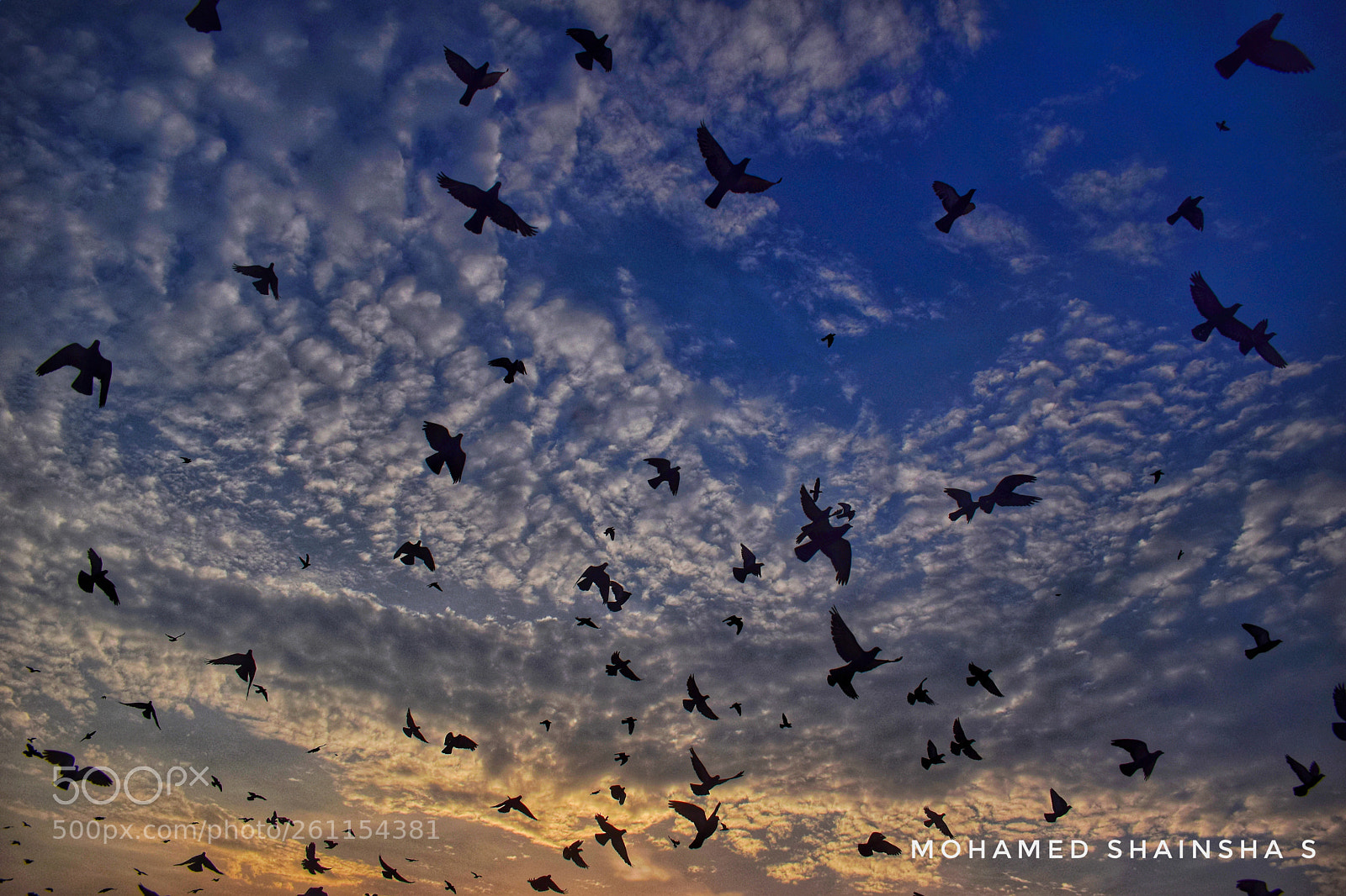Nikon D5300 sample photo. #blue_magic photography