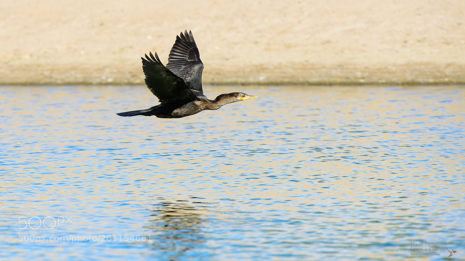 Nikon D810 sample photo. Mbs photography