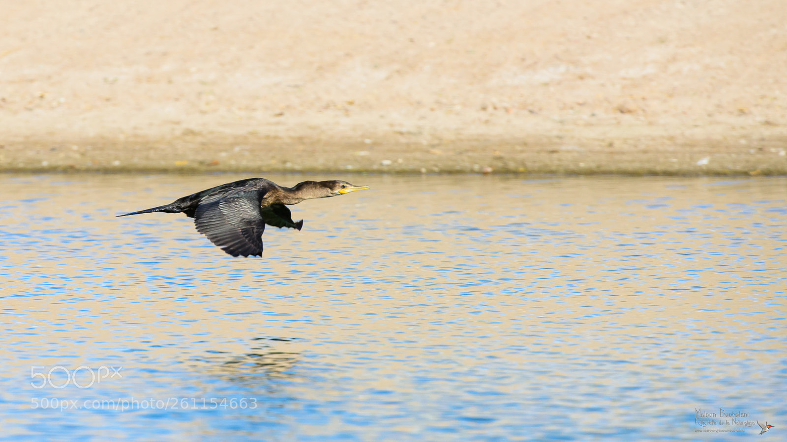 Nikon D810 sample photo. Mbs photography