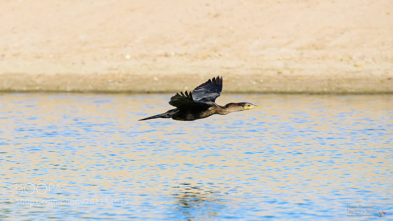 Nikon D810 sample photo. Mbs photography