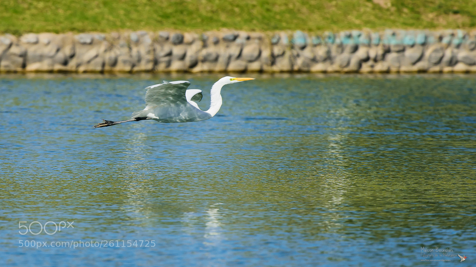 Nikon D810 sample photo. Mbs photography