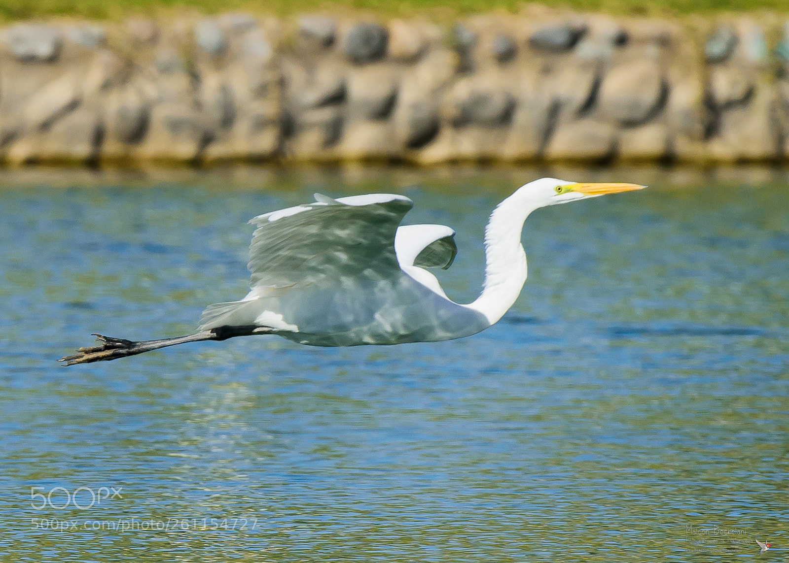 Nikon D810 sample photo. Mbs_3306-2.jpg photography