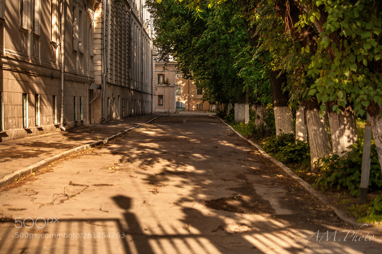 Canon EOS 5D Mark II sample photo. Untitled photography