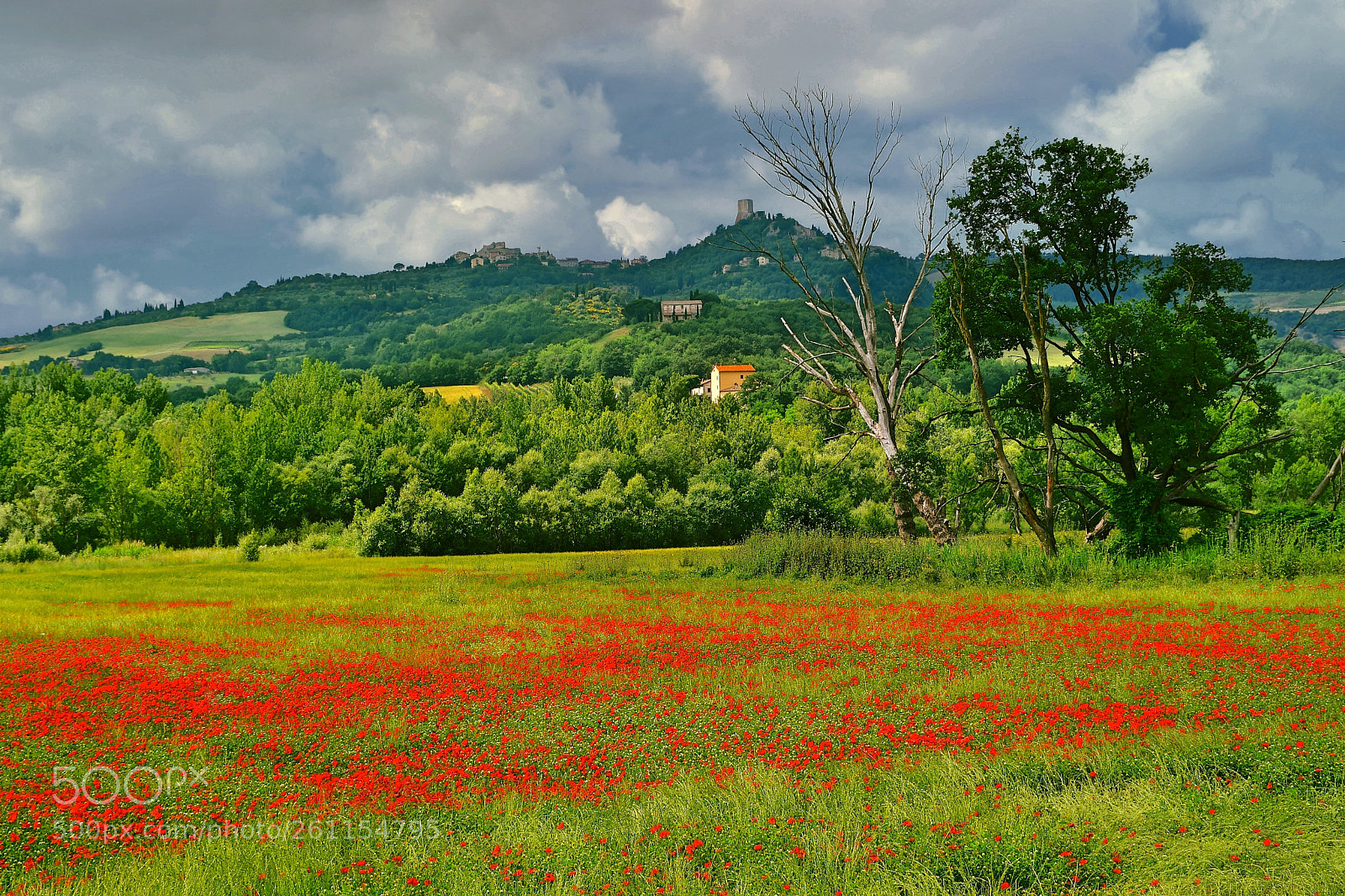 Nikon D7500 sample photo. Val d'orcia photography