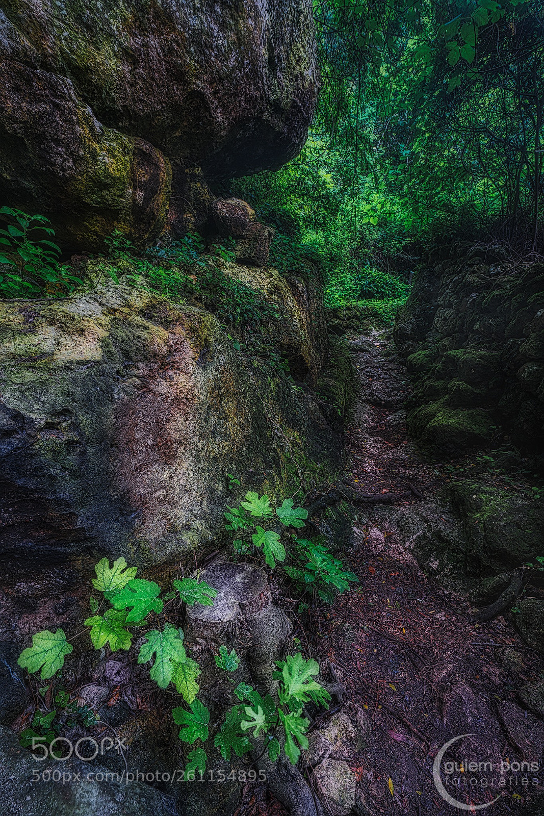 Sony a7R II sample photo. Caminet photography