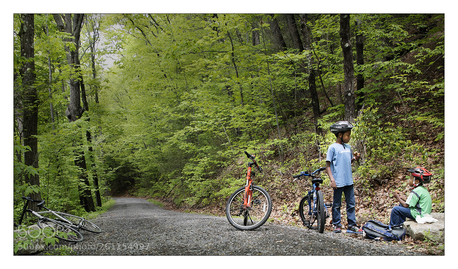 Nikon D810 sample photo. R photography
