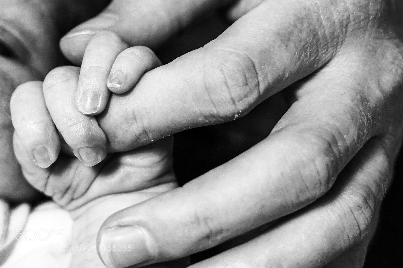 Sony a7 II sample photo. There will be hands photography