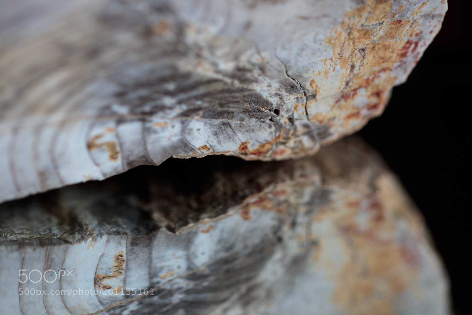 Canon EOS 80D sample photo. Rocky reflection photography