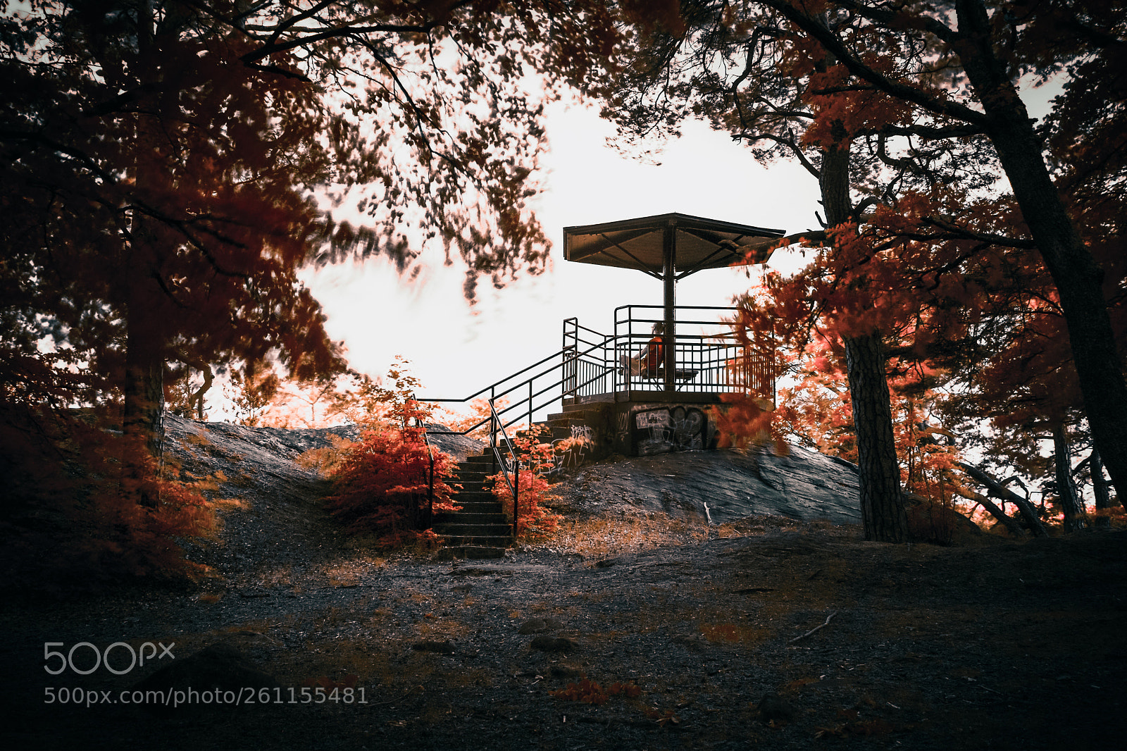 Nikon D500 sample photo. Infrared gazebo photography