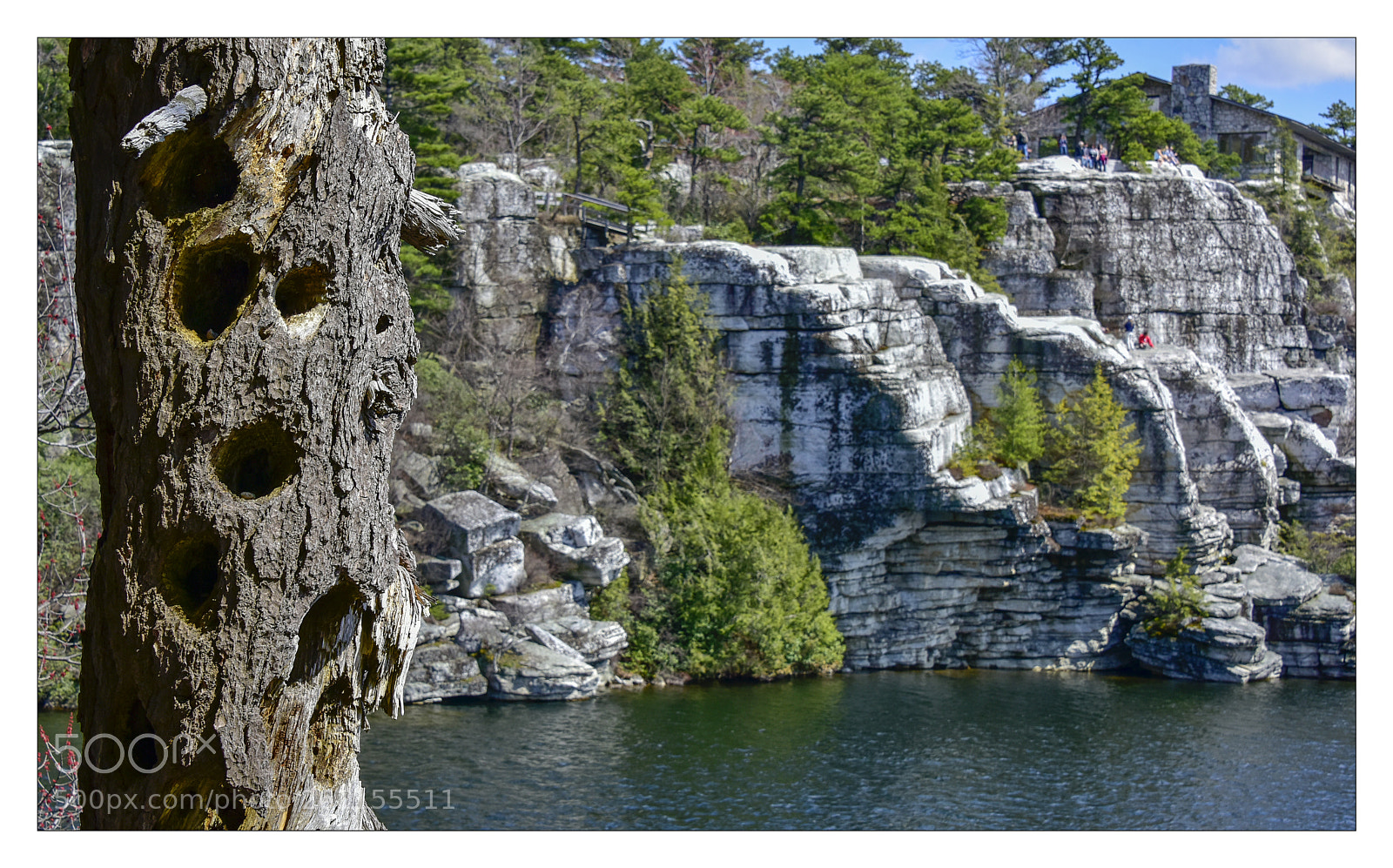 Nikon D810 sample photo. Lmspring photography