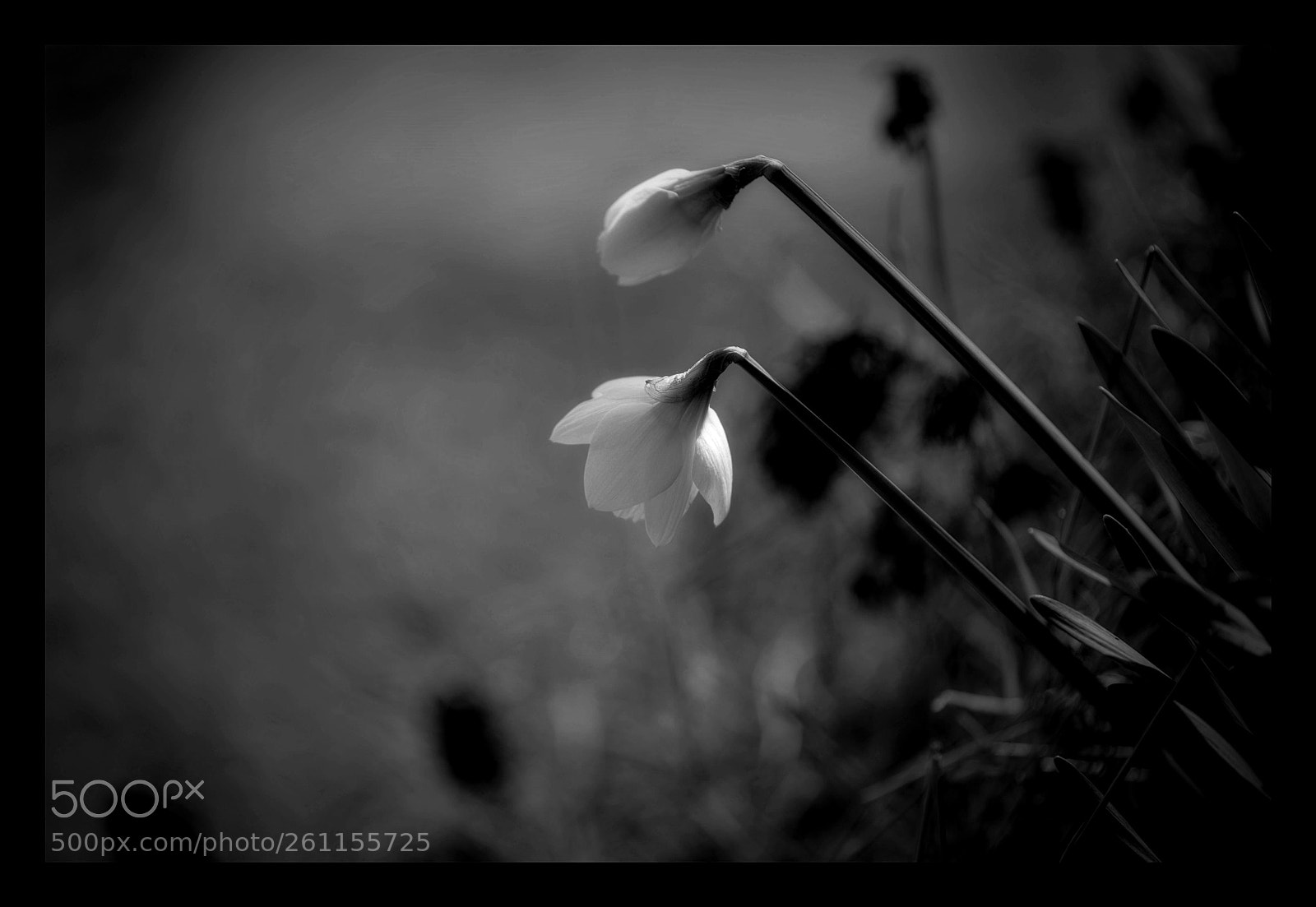Canon EOS 6D sample photo. Holding the light photography